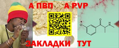 стаф Новозыбков