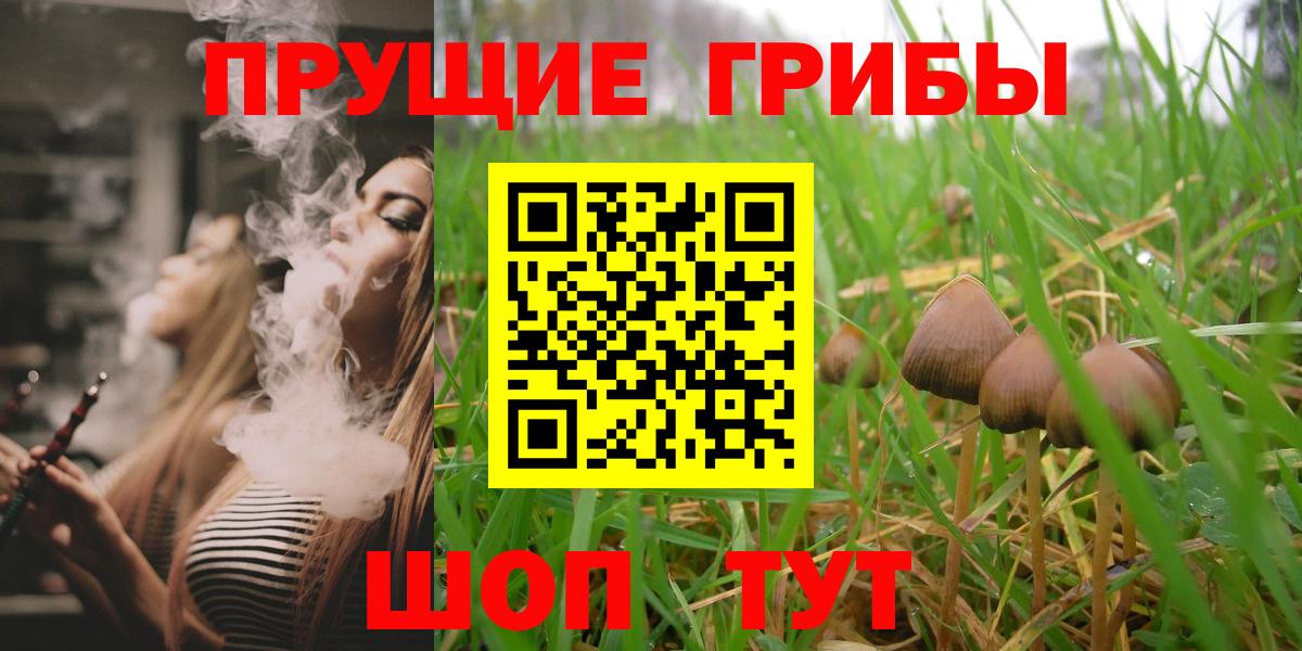 Псилоцибиновые грибы MAGIC MUSHROOMS  Вход с VPN  наркотики  Ростов-на-Дону 