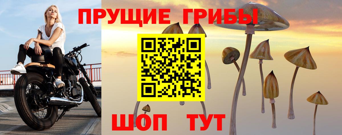 Галлюциногенные грибы Cubensis Ростов-на-Дону